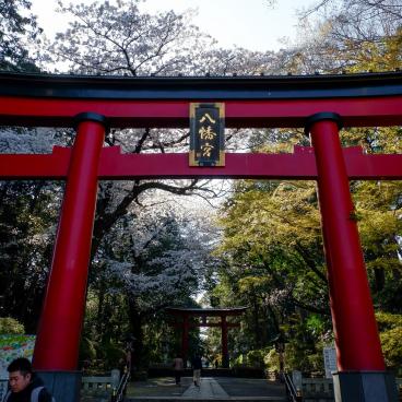 Omiya Hachiman-gu (Tokyo), torii du sanctuaire au bord de la rivière Zenpukuji