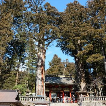 Nikko, porte non loin du sanctuaire Futarasan-jinja