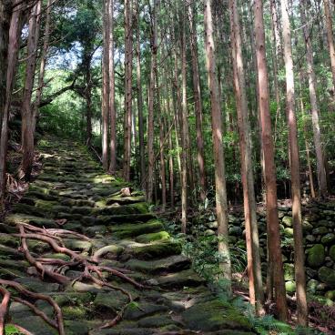 Kumano (Mie), col de Matsumoto-toge sur la route de Kumano Kodo Iseji