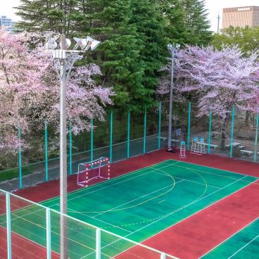 Lycée français international de Tokyo, terrains de sport