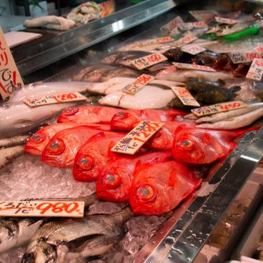Miura, étals de poissons du marché couvert Urari au port de Misaki 3