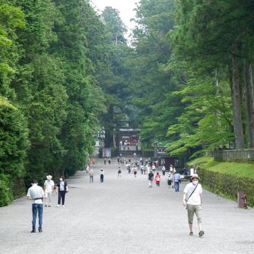 Nikko, allée conduisant au Toshogu