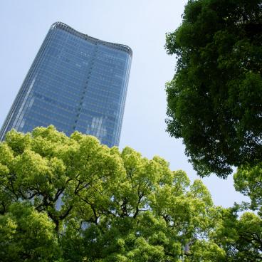 Parc Hibiya (Tokyo), vue sur les grands arbres et gratte-ciel