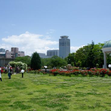 Yokosuka, parc Verny, jardin de roses avec floraison en mai 3