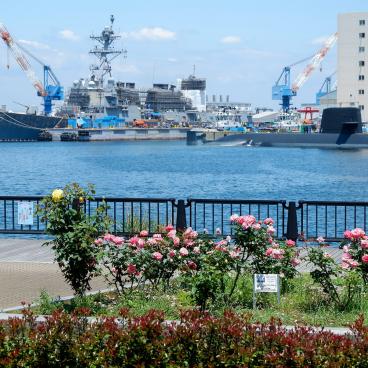 Yokosuka, parc Verny, vue sur les navires militaires japonais et américains