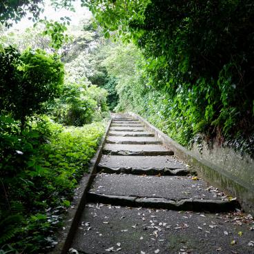 Yokosuka, parc Kannonzaki 2