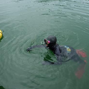 Ama de la préfecture de Mie, plongeuse en train de pêcher en apnée au large du port de Wagu (Shima)