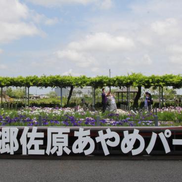 Parc Suigo Sawara Ayame (Katori, Chiba), entrée du jardin