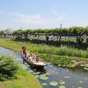 Parc Suigo Sawara Ayame (Katori, Chiba), promenade en barque