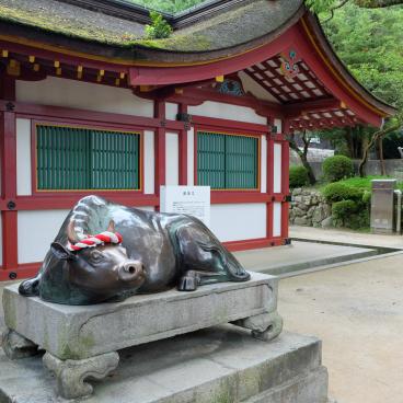 Dazaifu Tenman-gu (Fukuoka), statue de bœuf Shingyu, messager du dieu Tenjin