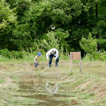 Fête des pères au Japon, moments père-enfants au parc 4