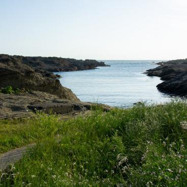 Jogashima (Miura), côte rocheuse au sud-ouest de l'île 3