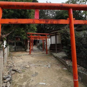 Wakaura Tenmangu (Wakayama), petites portes torii dans l'enceinte du sanctuaire