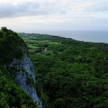 Observatoire Makiyama (Irabu-jima), vue sur la végétation et la côte