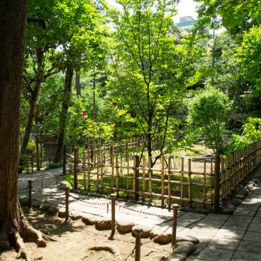 Nogi-jinja (Tokyo), jardin attenant au sanctuaire