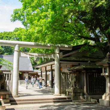 Nogi-jinja (Tokyo), porte Torii et pavillons du sanctuaire au printemps