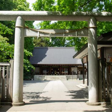 Nogi-jinja (Tokyo), porte Torii et pavillons du sanctuaire au printemps 2