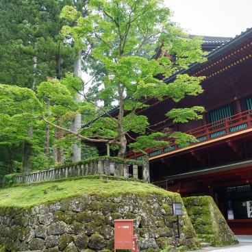Rinno-ji (Nikko), enceinte du temple en été