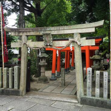 Yakushi-ji (Nara), portes Torii shinto