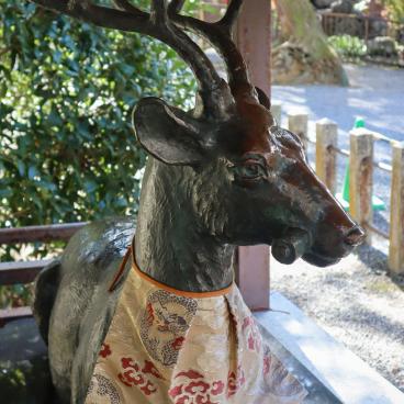 Yoshida-jinja (Kyoto), statue de cerf sacré au sanctuaire