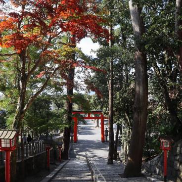 Yoshida-jinja (Kyoto), Torii et allée du sanctuaire 5