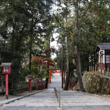 Yoshida-jinja (Kyoto), Torii et allée du sanctuaire
