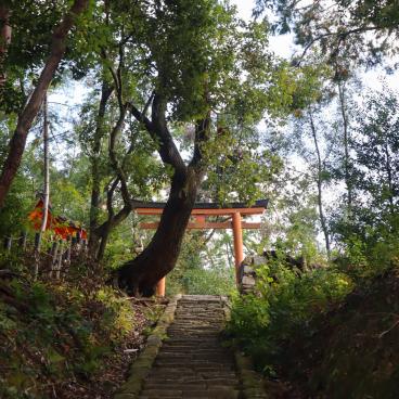 Yoshida-jinja (Kyoto), Torii et allée du sanctuaire 2
