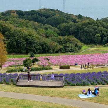 Awaji Hanasajiki, vue sur le parc fleuri en automne