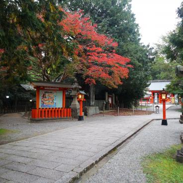 Kumano Hayatama Taisha, entrée du sanctuaire en automne