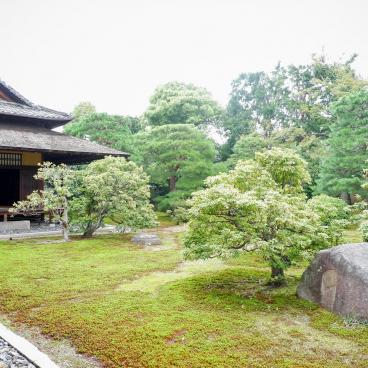 Shogo-in (Kyoto), vue sur le pavillon Shoin et son jardin