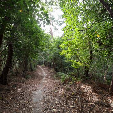 Takozushiyama (Wakayama), sentier de randonnée