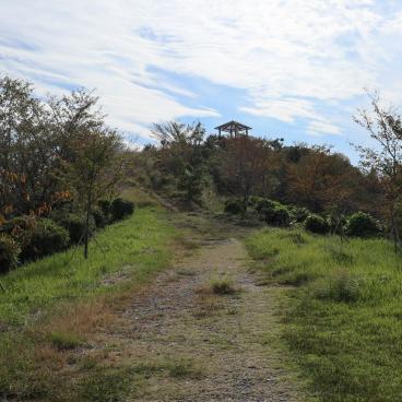 Takozushiyama (Wakayama), sentier de randonnée au sommet de la montagne