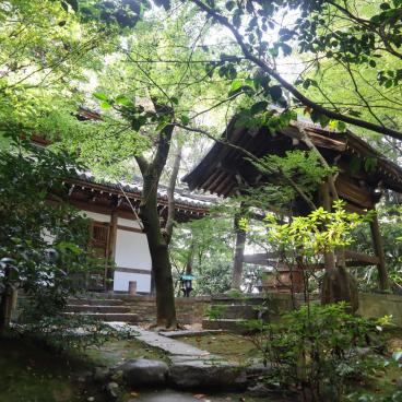 Choraku-ji (Kyoto), pavillons du temple sous la végétation