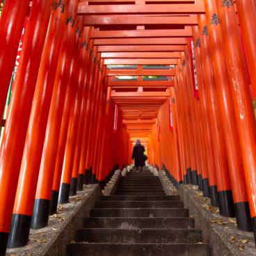Hie-jinja (Tokyo), allée de Torii vermillons du sanctuaire secondaire Inari 5