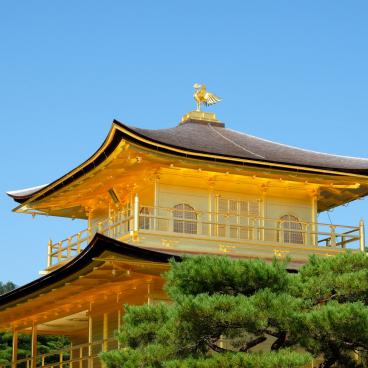 Kinkaku-ji (Kyoto), toit doré du Pavillon d'Or en octobre 2021 (après rénovation)