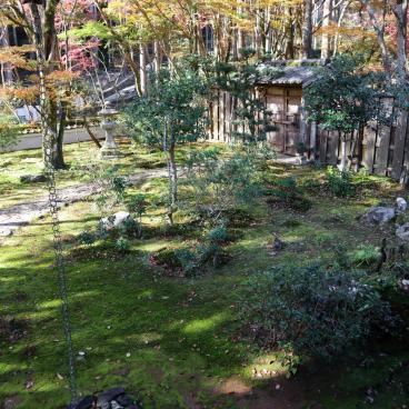 Kozan-ji (Takao, Kyoto), jardin intérieur du pavillon Sekisui-in à l'automne 2