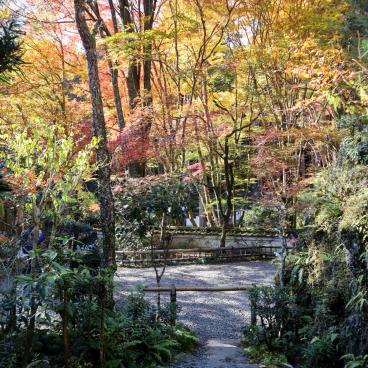 Kozan-ji (Takao, Kyoto), enceinte du temple à l'automne