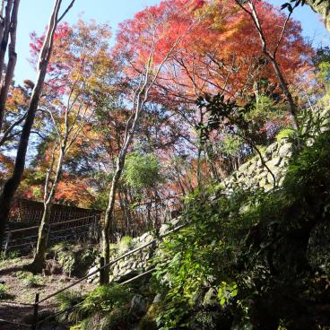 Kozan-ji (Takao, Kyoto), escalier en zig-zag à l'entrée arrière du temple (Ura-sando)