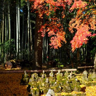 Sekizan Zen-in (Kyoto), statues de moines Rakan et couleurs d'automne