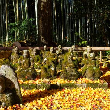 Sekizan Zen-in (Kyoto), statues de moines Rakan et couleurs d'automne 2