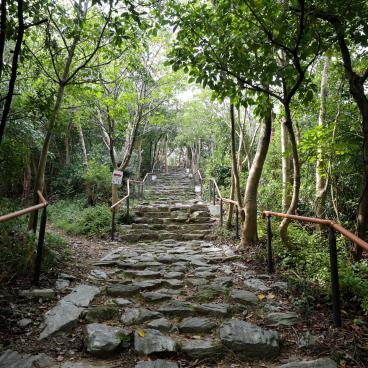 Tamatsushima-jinja (Wakayama), allée en escalier vers le mont Tengu