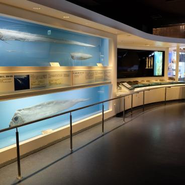 Aquarium Churaumi (Okinawa), exposition consacrée aux créatures des profondeurs