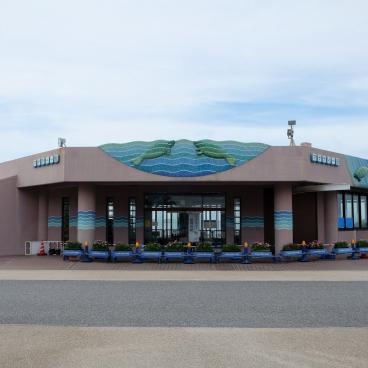 Aquarium Churaumi (Okinawa), piscine des lamantins