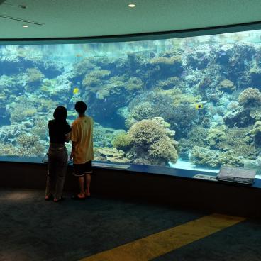 Aquarium Churaumi (Okinawa), exposition de poissons tropicaux et coraux