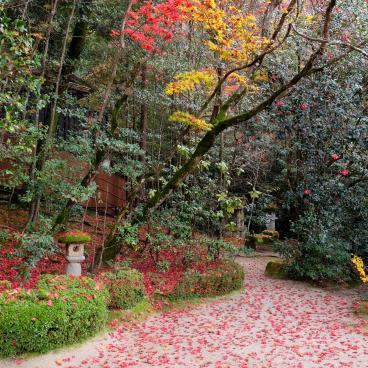 Shisen-do (Kyoto), vue sur le jardin en automne 2