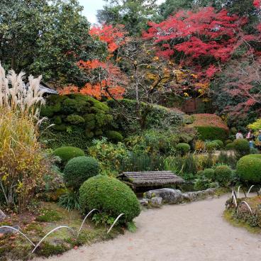 Shisen-do (Kyoto), vue sur le jardin en automne