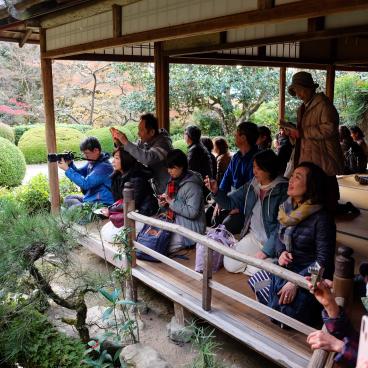 Shisen-do (Kyoto), affluence de visiteurs pendant la période automnale