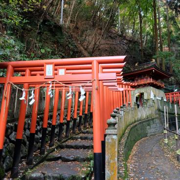 Tanukidani-san Fudo-in (Kyoto), tunnel de Torii rouges du sanctuaire Hakuryu Benzaiten