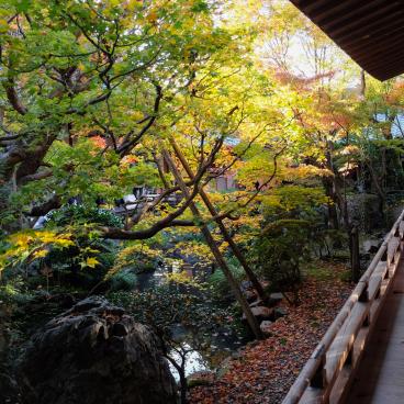 Eikan-do (Kyoto), jardin au début de l'automne 3