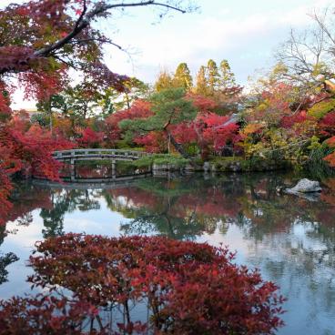 Eikan-do (Kyoto), Vue sur l'étang et les momiji au pic de l'automne
